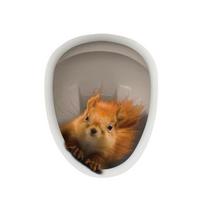 Tualeto dangčio lipdukas Stiprus lipnus PVC atsparus vandeniui nuimamas juokingas 3D voverės gyvūno lipdukas sienos lipdukas 20*25cm