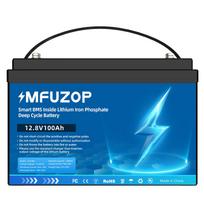 JAV ES sandėlis 6000 ciklų baterija 12V 24V 100Ah 200Ah Lifepo4 ličio baterija saulės energijai su išmaniuoju BMS energijos saugojimui 12 V 100 Ah