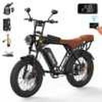 New Arrival X5 Electric Mountain Bike 250W Brushless Motor NFC Key Removable Battery Carbon Steel Frame Fat Tire Ebike 250w