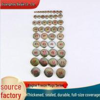 Thickened Iron Water Plug for Truck and Agricultural Vehicle Cylinders M13 13mm 10 pieces