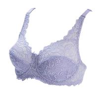 Elegant And Sexy Lace Women Bra Plus Size 75-100 D E Ultrathin Brassiere 95e 100e Underwear 75DE violetinė