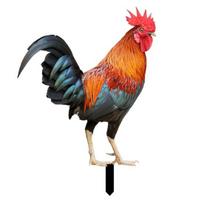 Realistic Acrylic Animal Yard Stake, 2D Flat Chicken Goose Bird Bunny Garden Sign for Pathway, Patio, Lawn Outdoor Decor C