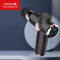 Shangheng SHZH-JKJ002 LCD Fascia Gun CN plug (adapter included)