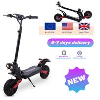 Freeboy H6 Dual Motor Electric Scooter US EU Stock Fat Tire Off Road Foldable E Scooter IPX4 Waterproof Ready to Ship 250W for eu 48 V 11 Inch