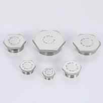 304 Stainless Steel Hex Solid Plug