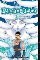 KNYGA Yuki Tabata Juodas Clover, Vol. 30