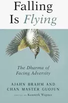 KNYGA Ajahn Brahm Falling is Flying