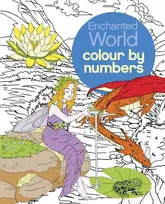 KNYGA Sara Illustrator Storino Enchanted World Colour by Numbers