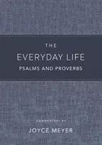 KNYGA Joyce Meyer Everyday Life Psalms and Proverbs, Platinum