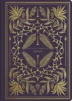 KNYGA Esv Bibles ESV Illuminated Scripture Journal