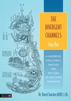 KNYGA David Twicken Divergent Channels - Jing Bie