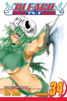KNYGA Bookshop Bleach, Vol. 34
