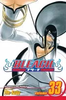 KNYGA Bookshop Bleach, Vol. 33