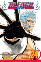 KNYGA Tite Kubo Bleach, Vol. 24