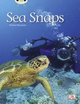 KNYGA Diana Noonan Bug Club Independent Non Fiction Year 1 Žalias A Sea Snaps