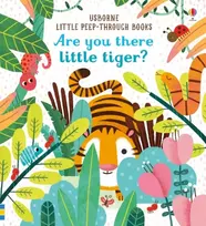 KNYGA Sam Taplin Are you there Little Tiger?