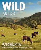 KNYGA Edwina Pitcher Wild Guide Andalucia