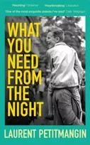 KNYGA Laurent Petitmangin What You Need From The Night