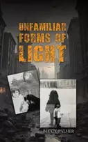 KNYGA Beccy Palmer Unfamiliar Forms of Light