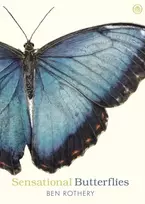 KNYGA Ben Rothery Sensational Butterflies