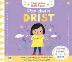 KNYGA Marie Paruit Teimladau Mawr Bach: Pan Dwi'n Drist