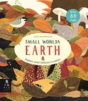 KNYGA Lara Hawthorne Small Worlds: Earth