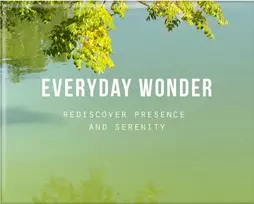 KNYGA The School of Life Everyday Wonder