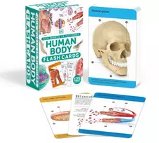 KNYGA Bookshop Our World in Pictures Human Body Flash Cards