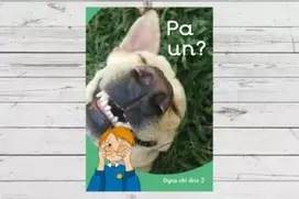 KNYGA Eirian Lloyd Jones Dyna Chi Dric: Pa Un?