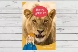 KNYGA Eirian Lloyd Jones Dyna Chi Dric: Beth Ydw I?