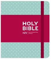 KNYGA New International Version NIV Journalling Mint Polka Dot Cloth Bible