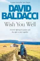KNYGA David Baldacci Wish You Well