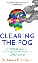KNYGA James C Jackson Clearing the Fog