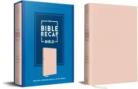 KNYGA Tara Leigh Cobble Bible Recap 365-Day Chronological Study Bible
