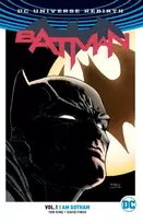 KNYGA Tom King Batman Vol. 1: I Am Gotham