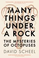 KNYGA David Scheel Many Things Under a Rock