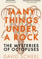 KNYGA David Scheel Many Things Under a Rock