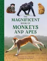 KNYGA Barbara Taylor Magnificent Book of Monkeys and Apes
