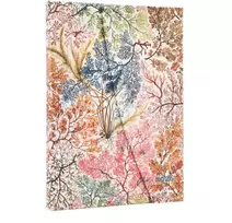 KNYGA paperblanks 2026 Anemone (William Kilburn) Midi 12-month Vertical Hardcover Flexi Dayplanner 2026 (Wrap Closure)