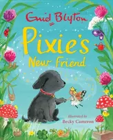 KNYGA Enid Blyton Pixie's New Friend
