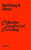 KNYGA Paul Oneill Not Going It Alone: Collective Curatorial Curating