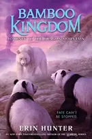 KNYGA Erin Hunter Journey to the Dragon Mountain