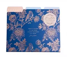 KNYGA Bookshop Jane Austen: File Folder Set