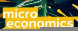 KNYGA Robert Frank Microeconomics and Behaviour, 4e