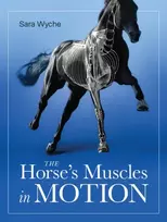 KNYGA Sara Wyche Horse's Muscles in Motion