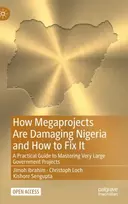 KNYGA Jimoh Ibrahim How Megaprojects Are Damaging Nigeria and How to Fix It