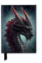 KNYGA Bookshop Kerem Beyit: Fierce Dragon (Foiled Journal)