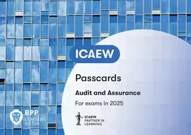 KNYGA Bpp Learning Media ICAEW Audit and Assurance