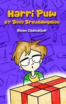 KNYGA Rhian Cadwaladr Harri Puw a'r Bocs Breuddwydion