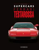 KNYGA Gaetano Derosa Ferrari Testarossa